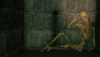 train the trainer sheffield