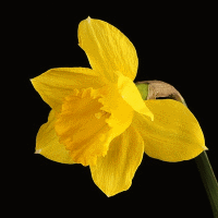 prince2 course sheffield