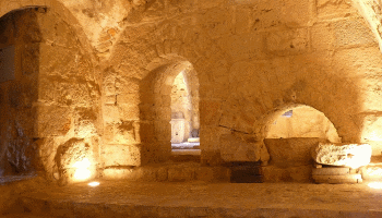 sheffield trainer course